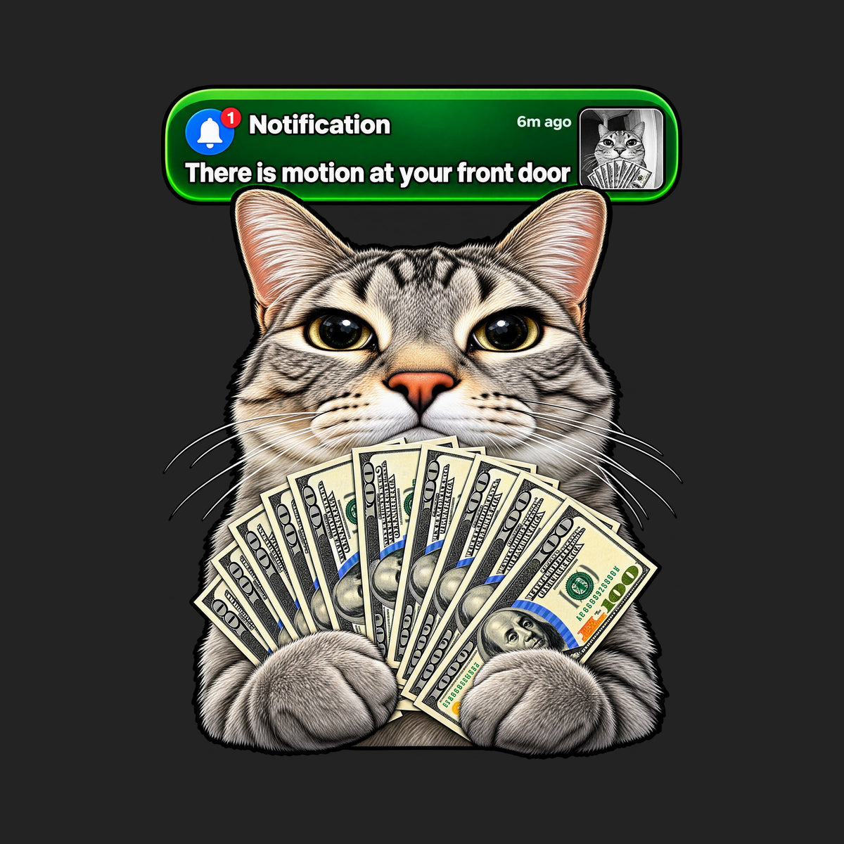 There Is Motion At Your Front Door Cat