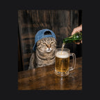 Tabby Cat Beer Pour